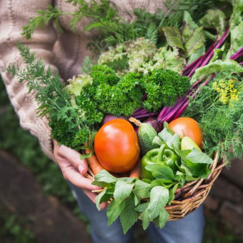 Fruits & Vegetables
