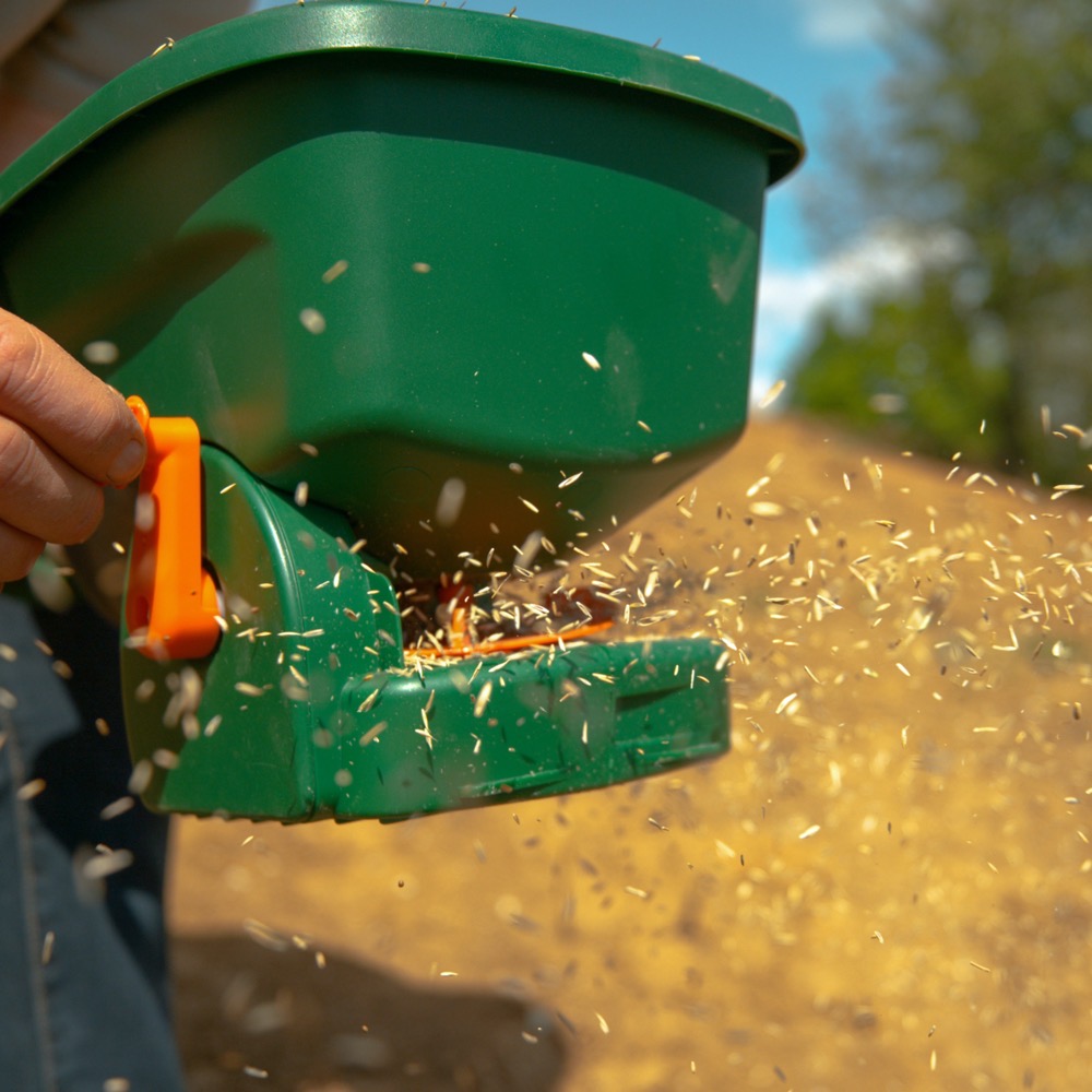 Deluxe Overseeding Mixture