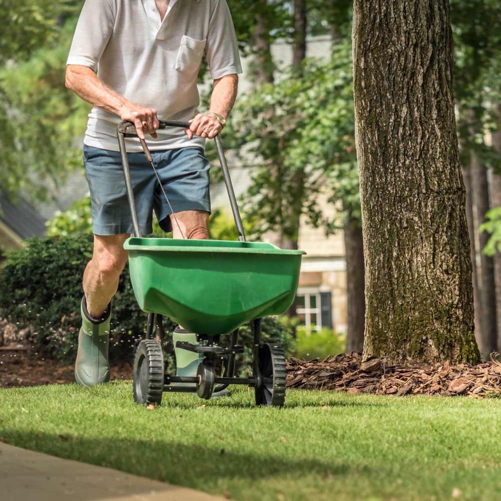 Muskoka Lawn Mixture