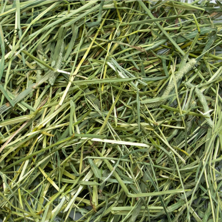 Bale - Alfalfa