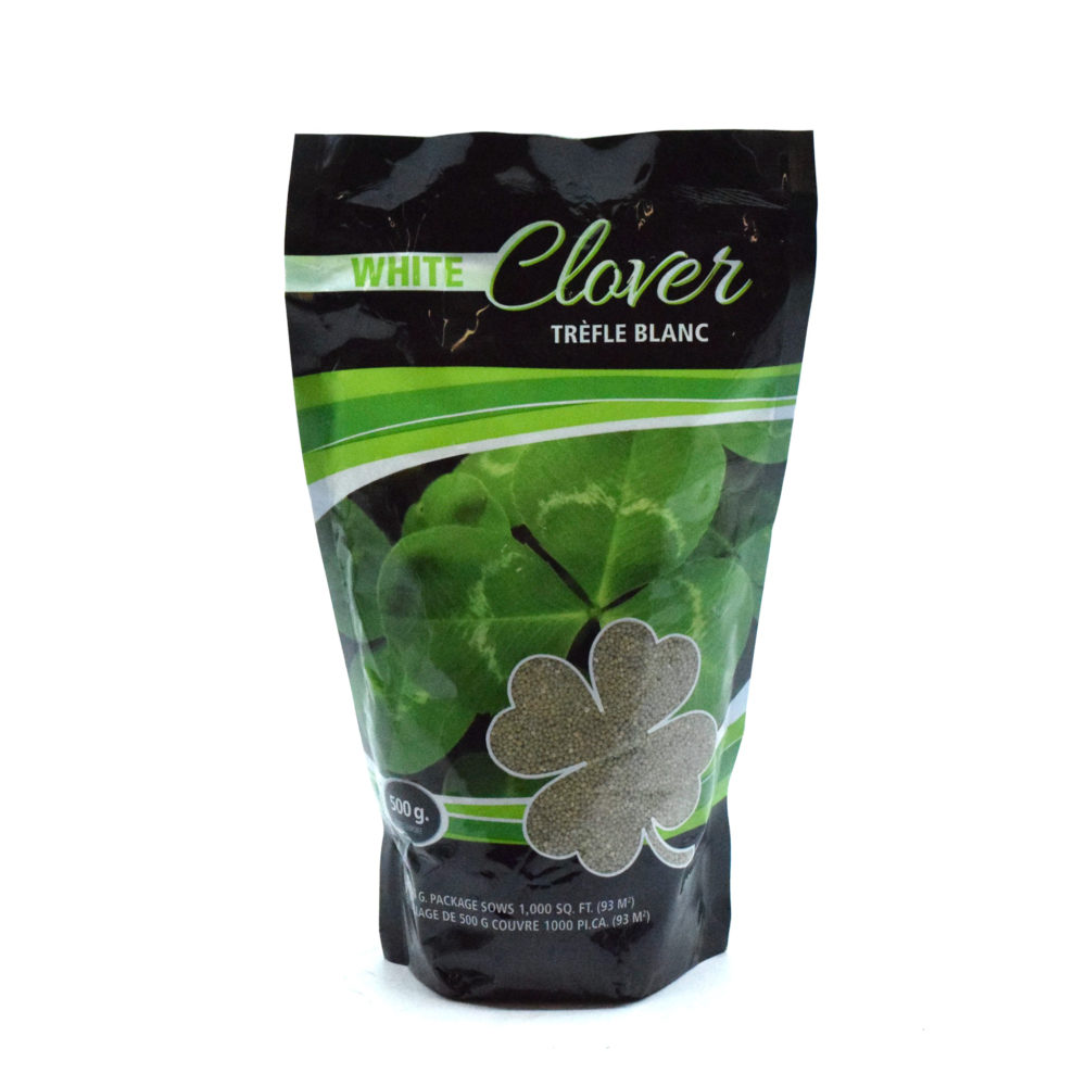 White Clover