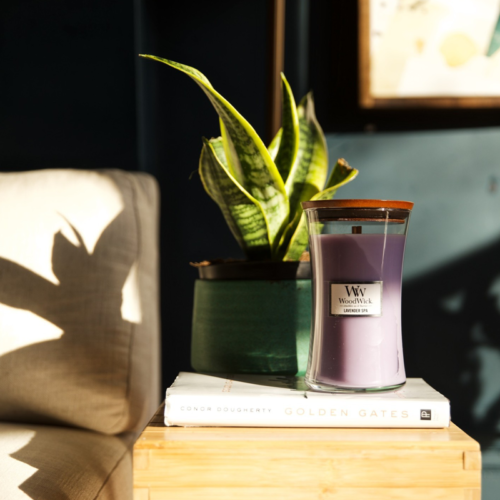 Candles & Accessories