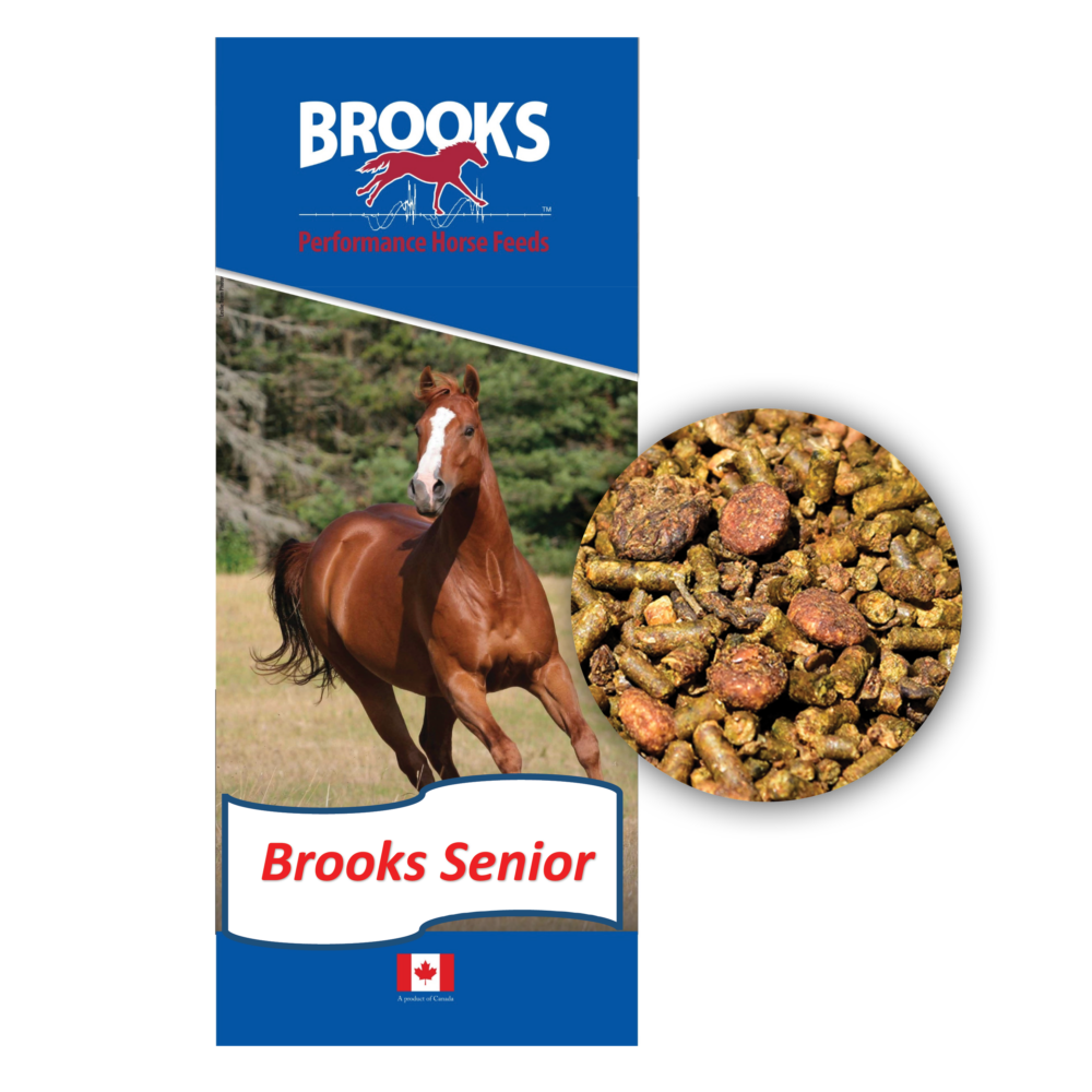 Brooks Senior