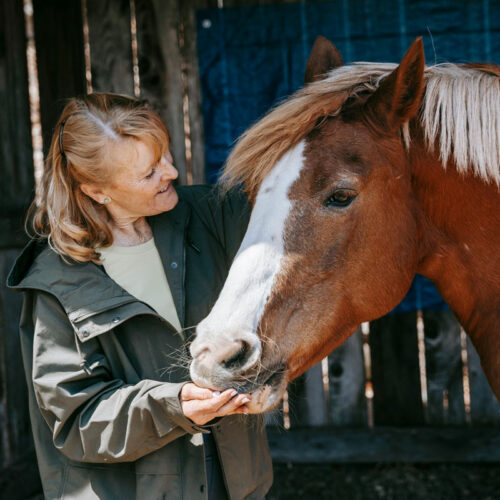 Horse Feed