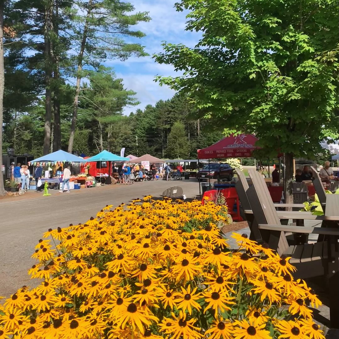 2026 Dwight Farmer’s Market - Image 3