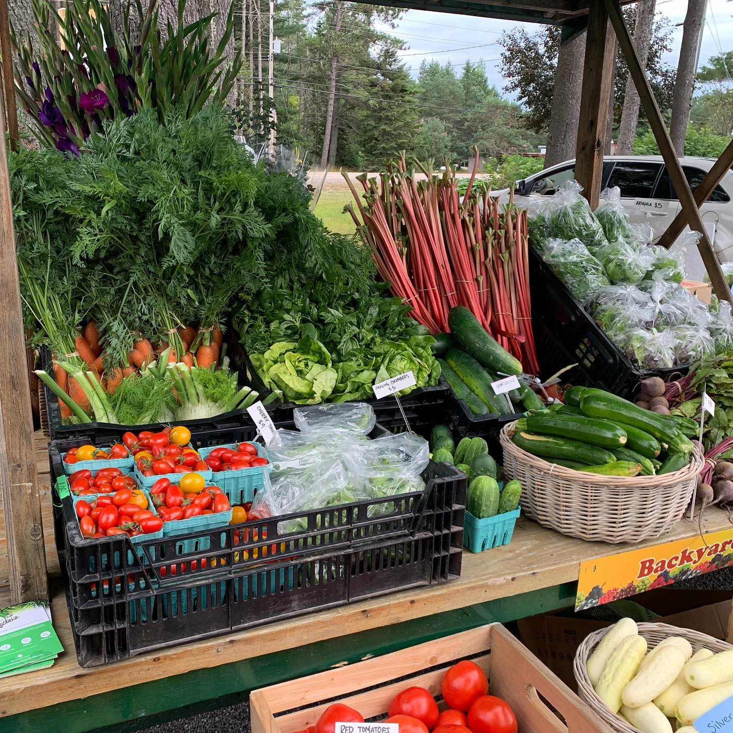 2026 Dwight Farmer’s Market - Image 5