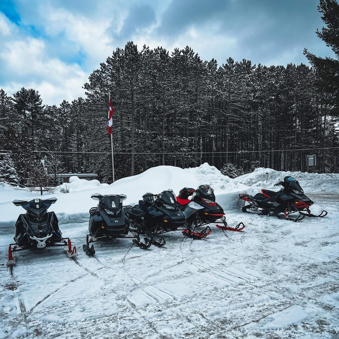 DINS_sleds